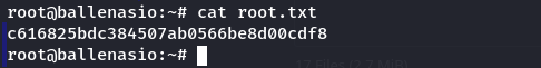 moby root flag.png
